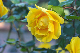image0380
