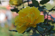 image0381