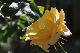 image0382