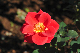 image0383