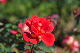 image0384