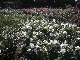 image0391