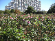 image0394