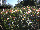 image0397