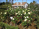 image0400
