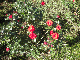 image0405