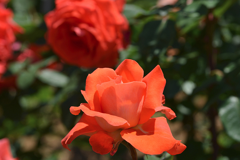 image0459