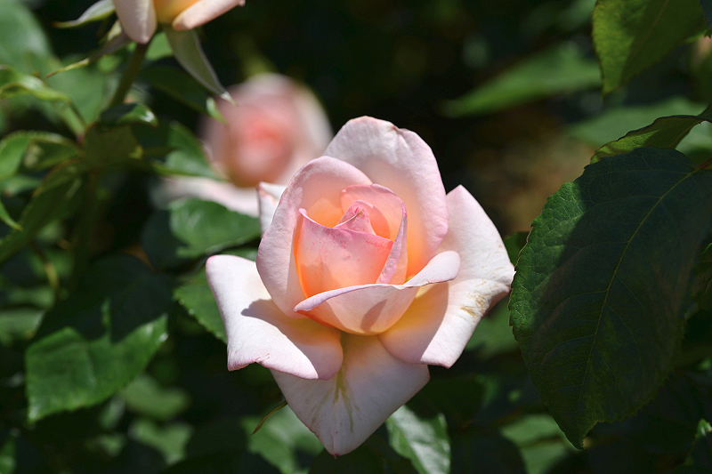 image0465
