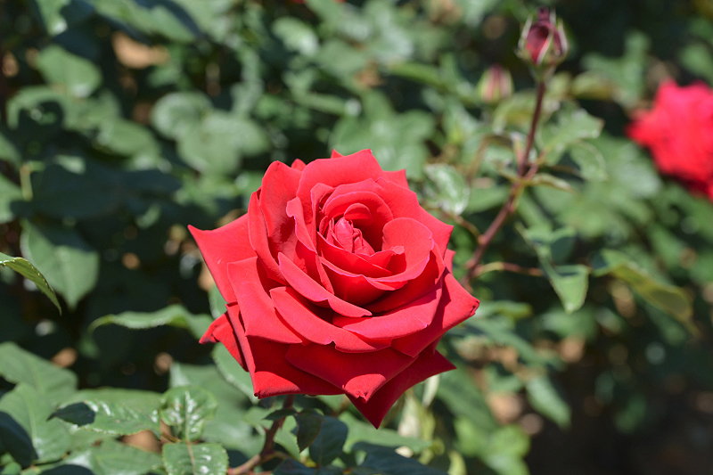 image0479