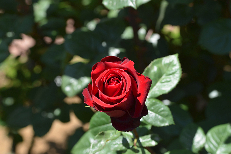 image0480