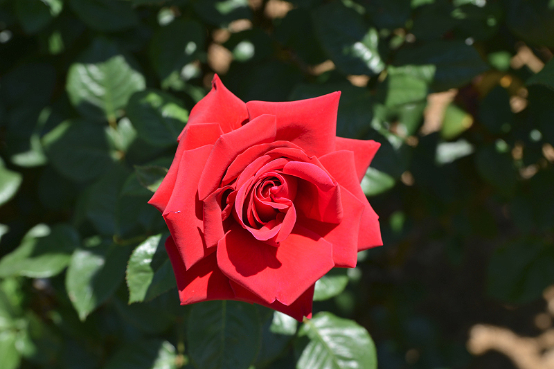 image0481