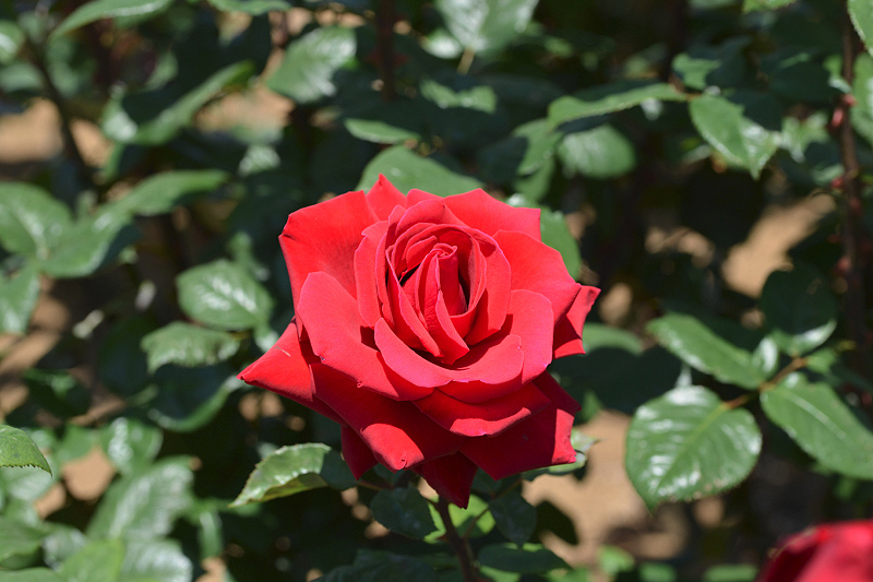 image0484