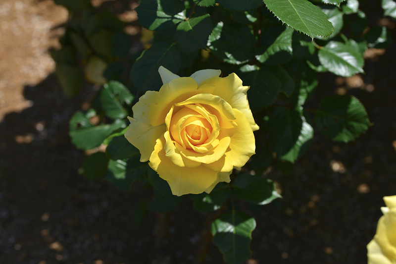 image0486