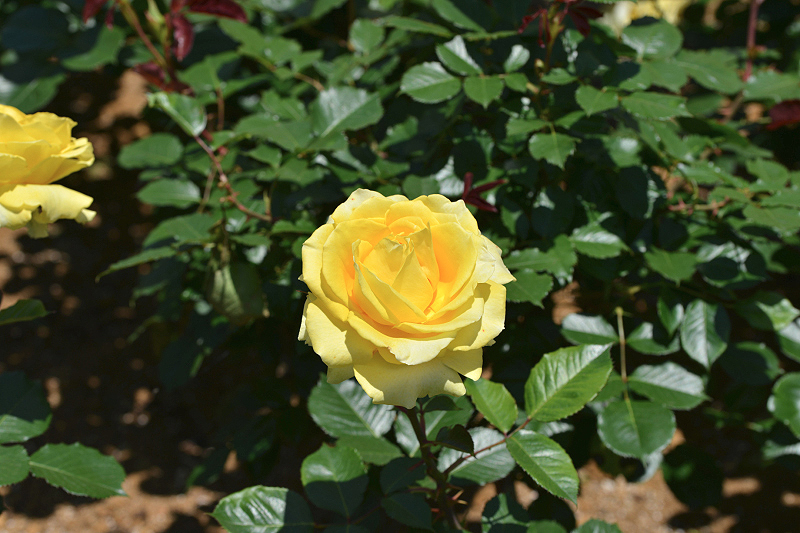 image0489