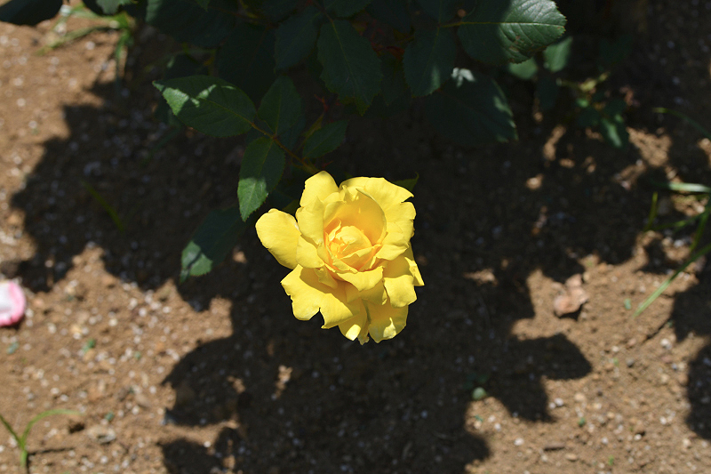 image0497