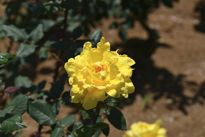 image0498