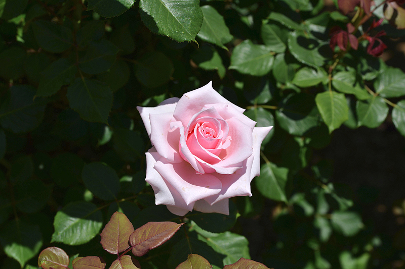 image0508