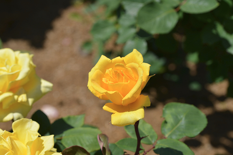 image0511