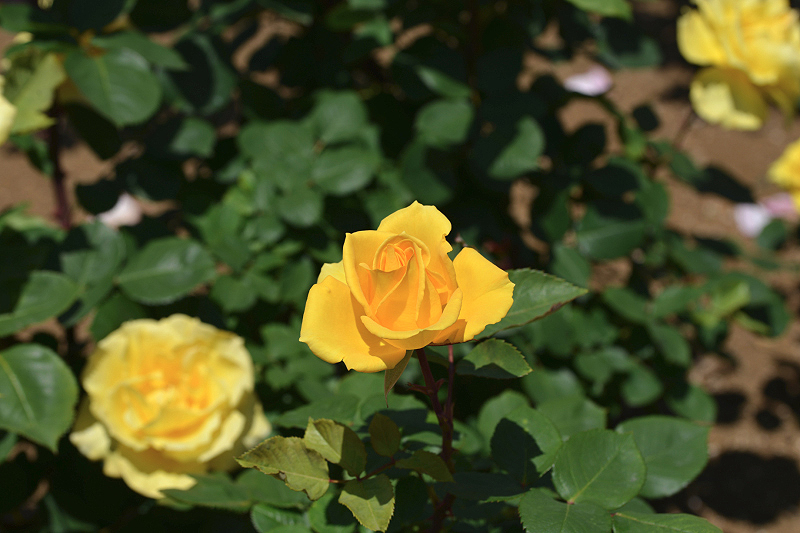 image0513