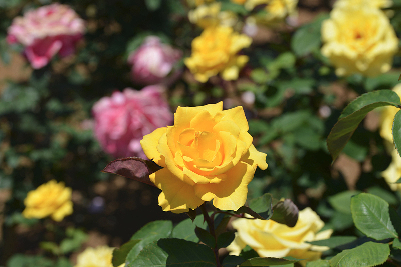 image0514
