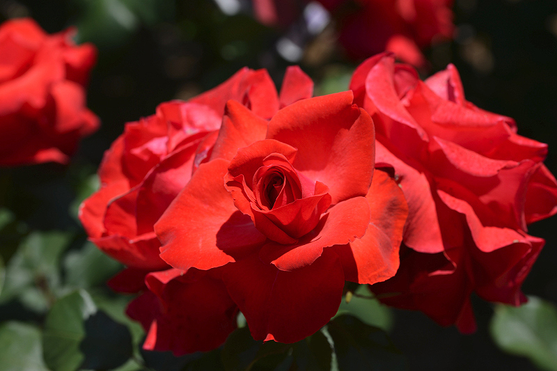 image0515