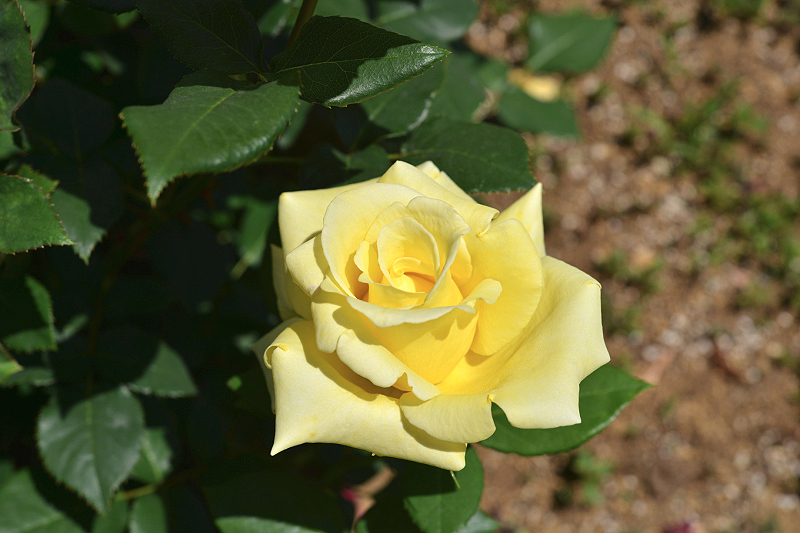 image0543