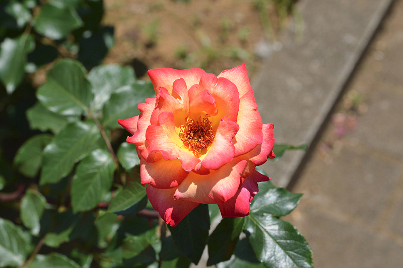 image0545