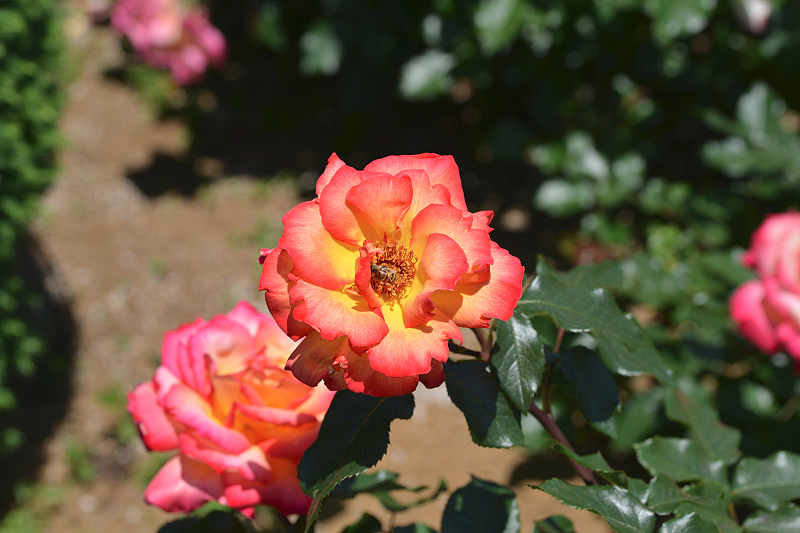 image0546