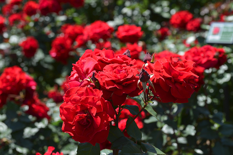 image0549
