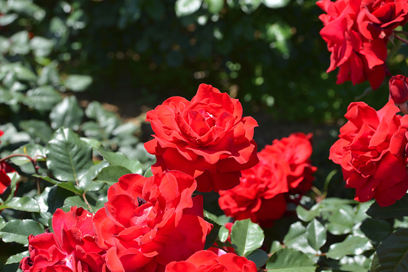 image0550