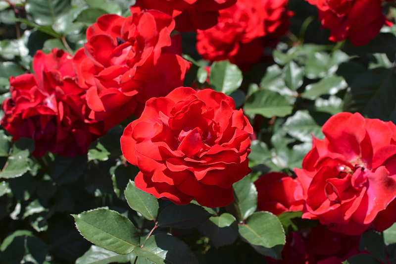 image0551