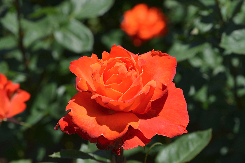 image0557