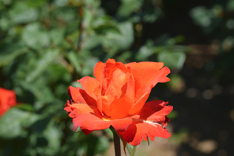 image0561