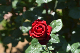 image0480