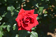 image0481