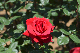 image0484