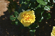 image0486