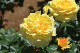 image0487