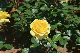 image0489