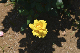 image0497