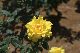 image0498