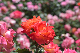 image0501