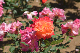 image0503