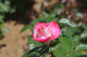 image0505
