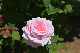 image0506