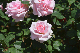image0507
