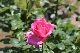 image0510