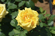 image0512