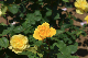 image0513