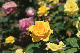 image0514